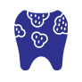 pet dental x ray