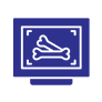 pet xray